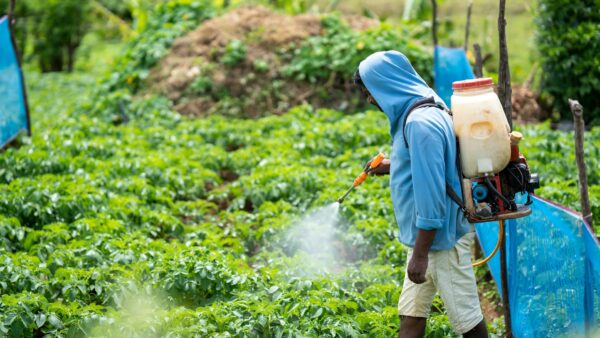Agriculture & Pest control