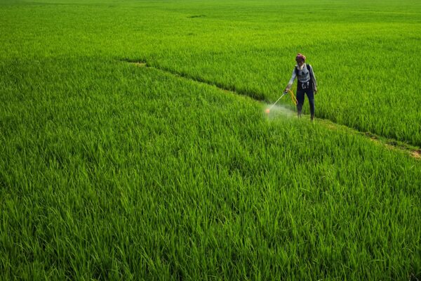 Agriculture & Pest control - Image 2