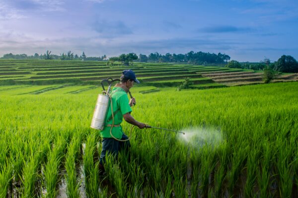 Agriculture & Pest control - Image 3